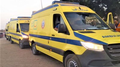 عاجل |الصحة: 17 وفاة و29 مصابا في حادث مروري على طريق الخارجة - أسيوط