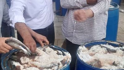 غلق 14منشأة غذائية مخالفة تعمل بدون ترخيص بالشرقية