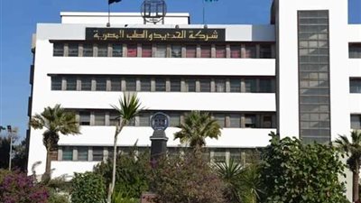 قطاع الأعمال: إرسال بيانات العاملين بالحديد والصلب للقوى العاملة تمهيدا للتعويضات