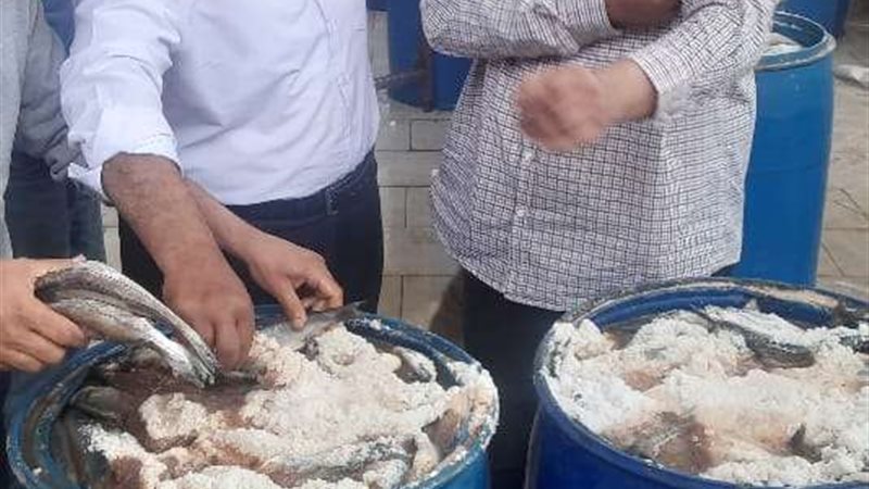 صحة الشرقية