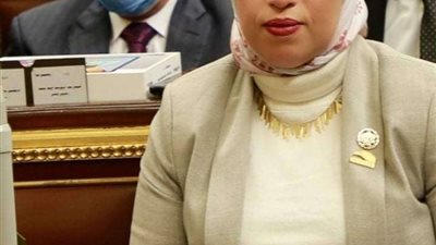 برلمانية:  تطوير الريف يساعد على خلق الخريطة التكاملية بين المحافظات