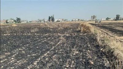 الحماية المدنية تسيطر على حريق 3 أحواش ماشية بسوهاج