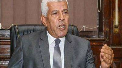 نقيب الزراعيين: توجيهات الرئيس في منظومة القمح هدفها توفير حياة كريمة للفلاحين