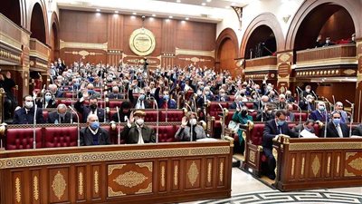 مجلس الشيوخ يناقش الأثر التشريعي لإنشاء نقابة التجاريين