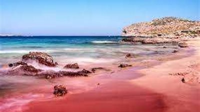 تغير مياه البحر الأحمر للون الوردي.. ما السبب