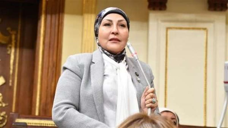 النائبة هالة أبو