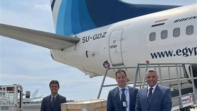 مصر للطيران تنقل شحنة أثار مصرية علي رحلتها القادمة من إيطاليا