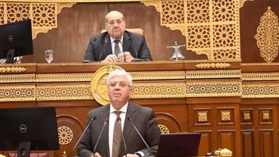 مواجهة وزير التعليم العالي.. أهم ما جاء بالجلسة العامة 