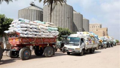 تجهيز 58 موقعاً تخزينياً لإستقبال 22280 طن و530 كيلو قمح بمحافظة الشرقية