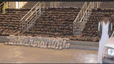 بقيمة 36 مليون جنيه.. سقوط عنصر إجرامي بحوزته 3 طن مخدرات بالإسماعيلية