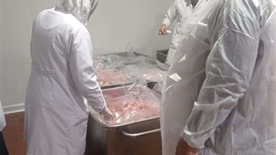 بيطري الشرقية يضبط 10 أطنان و 810 كجم دجاج و لحوم مجهولة المصدر