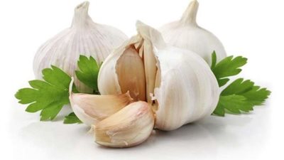 نقيب الفلاحين يكشف موعد انخفاض أسعار الثوم