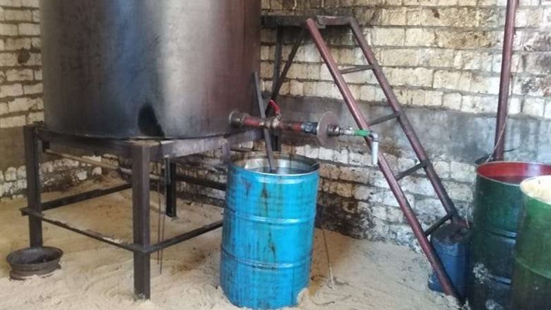 بلدنا اليوم