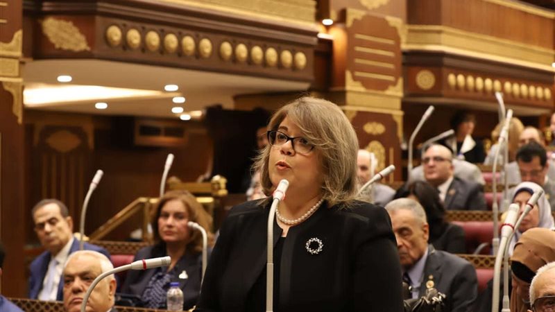 النائبة فيبي فوزي
