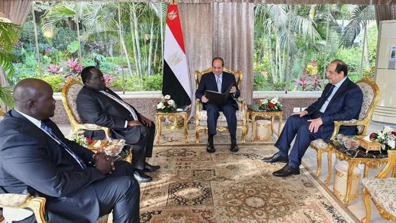 لقاء الرئيس عبد الفتاح