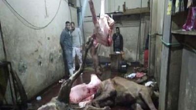 القبض على جزار يبيع كيلو اللحم بـ 50 جنيه بعد اكتشاف الكارثة في أوسيم