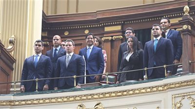 مجلس النواب يستقبل مجموعة من أعضاء معهد الدراسات الدبلوماسية