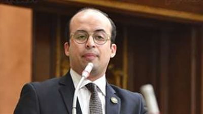 برلماني: لا يوجد نتائج جيدة لاستثمار بدون دراسة جدوى