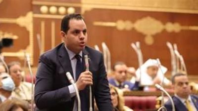 برلماني: الدولة حققت طفرة كبيرة في التنمية الثقافية