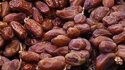 ضبط 1.7 طن بلح فاسد داخل مصنع تمور بالغربية