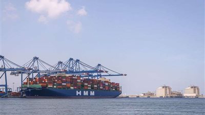 ميناء دمياط: 38 سفينة على أرصفة الهيئة خلال 24 ساعة