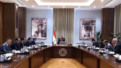 مدبولي يستعرض مع الفريق أسامة ربيع ملامح مشروع البتروكيماويات