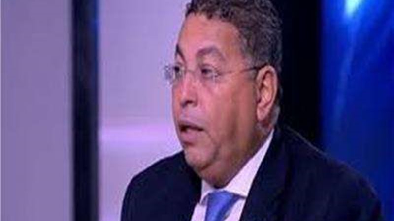وليد البطوطي، الخبير