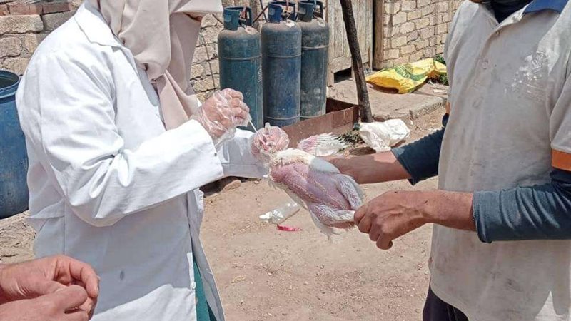 بيطري الشرقية