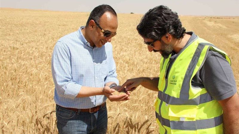 الدكتور محمد أبو