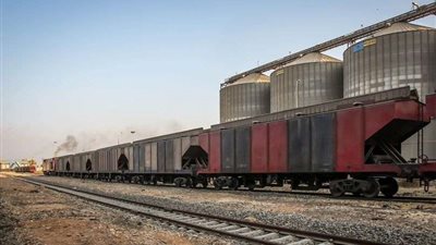 ميناء دمياط: إجمالي السفن على الأرصفة 31