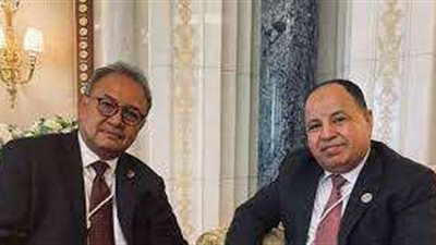 وزير المالية : نتطلع لأول إصدار من سندات الباندا باليوان الصينى