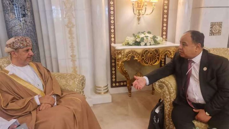 وزير المالية المصري