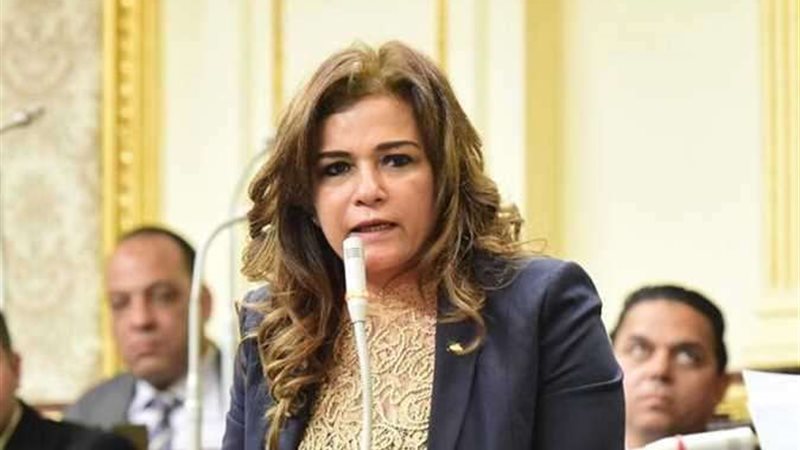 النائبة سحر طلعت