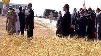 الرئيس السيسي: نسعى لإنتاج مليون طن قمح بتوشكي والعوينات