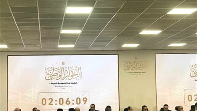 عمرو درويش: أقترح إعادة تعديل قانون تقسيم الدوائر الانتخابية.. وبحاجه إلى تعديل قانون مباشرة الحقوق السياسية