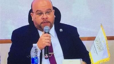 عبد العزيز الشناوي: أؤيد إجراء الانتخابات بنظام القائمة النسبية