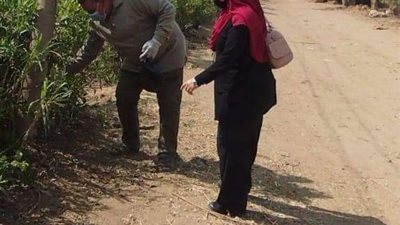 إنطلاق فعاليات الحملة القومية لمكافحة القوارض في الشرقية