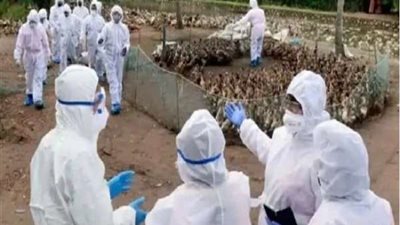 بعد كورونا ونيباه.. الصين تصدم العالم مرة ثالثة بفيروس شديد العدوى