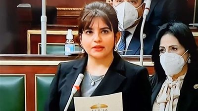 التنمية المحلية تستجيب لطلب إحاطة بعدم نشر بيانات الشركات المخالفة إلا بعد التحقيق