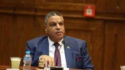 النائب السيد جمعة: الإشادة الدولية بالوساطة المصرية للتهدئة بغزة