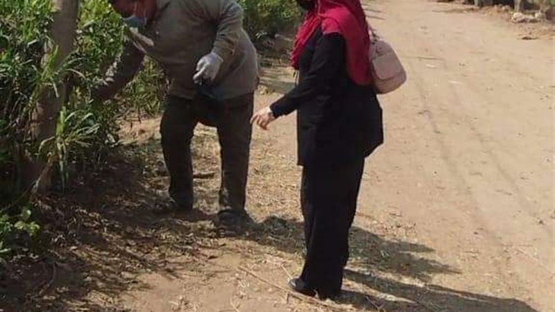 زراعة الشرقية
