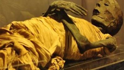 حكم إخراج المومياوات القديمة وعرضها في المتاحف.. الإفتاء تجيب