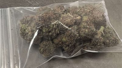 جمارك مطار الغردقة تحبط محاولة تهريب كمية من مخدر الماريجوانا