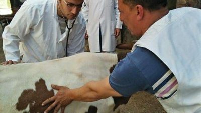 محافظة الشرقية تنظم قافله طبيه بيطرية بقرية المسلمية