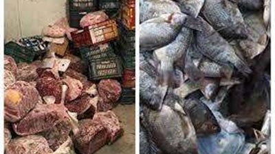ضبط 2,5 طن لحوم وأسماك غير صالحة للاستخدام بالقاهرة