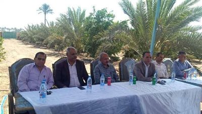 زراعة الشرقية تنظم ندوة لمكافحة ذبابة الفاكهة ببلبيس