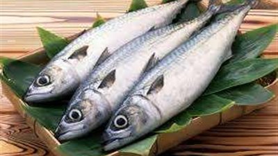 أسباب منع صيد أسماك البحر الأحمر أو بيعها في المطاعم لمدة شهرين