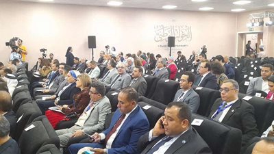 ممثل التنسيقية: تحديات الهوية الوطنية تواجه أي مجتمع وليس مصر فقط