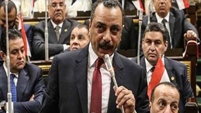 الطماوي: الشاذلي السبب في إحداث تخبط تشريعي بالحكومة