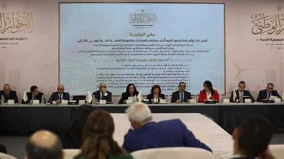 الحوار الوطني.. نجاد البرعي أموال الصغير يجب أن تكون تحت رقابة جهة محايدة